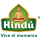 logo_hindu
